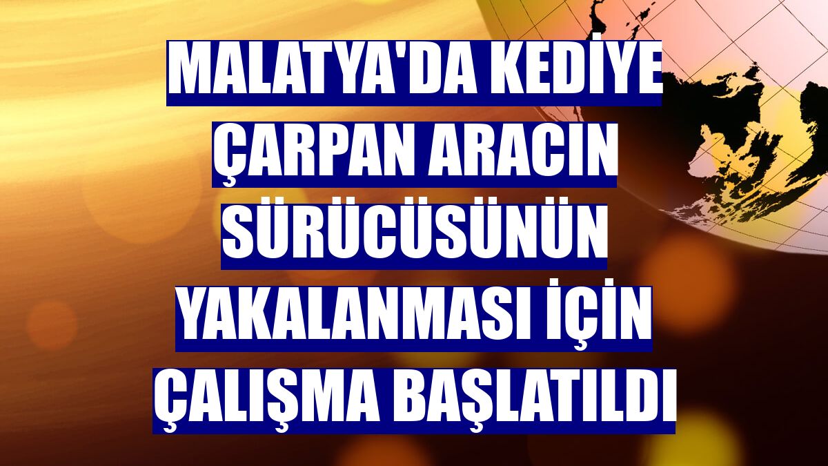 Malatya'da kediye çarpan aracın sürücüsünün yakalanması için çalışma başlatıldı