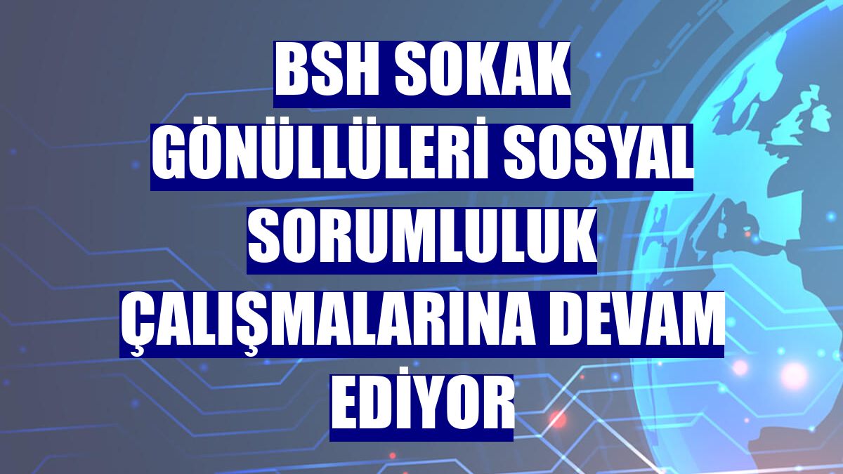 BSH SOKAK Gönüllüleri sosyal sorumluluk çalışmalarına devam ediyor