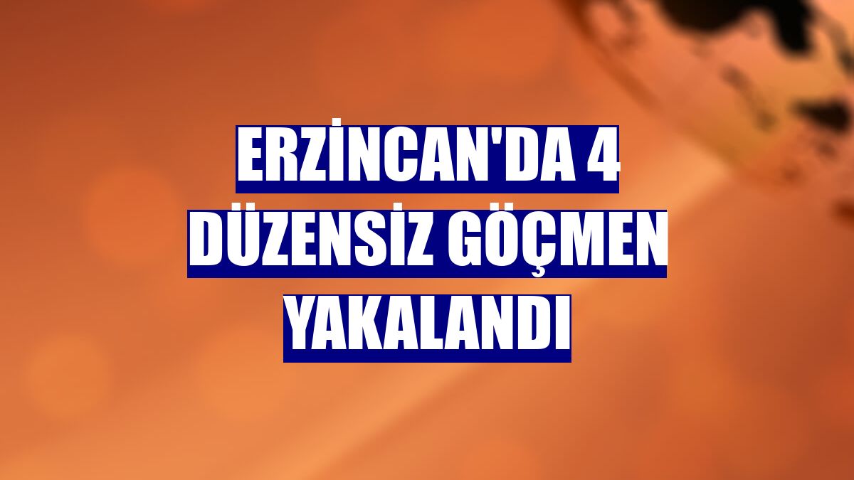 Erzincan'da 4 düzensiz göçmen yakalandı
