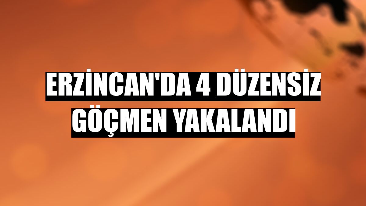 Erzincan'da 4 düzensiz göçmen yakalandı