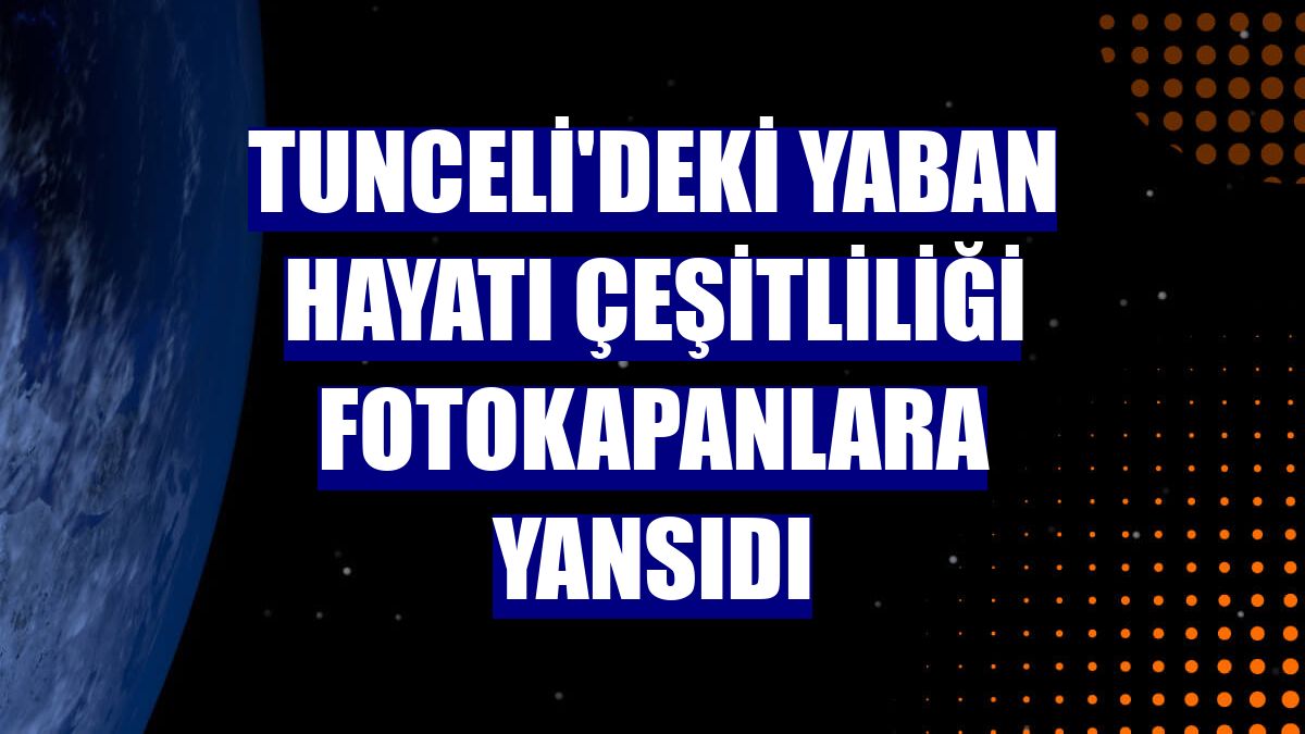 Tunceli'deki yaban hayatı çeşitliliği fotokapanlara yansıdı