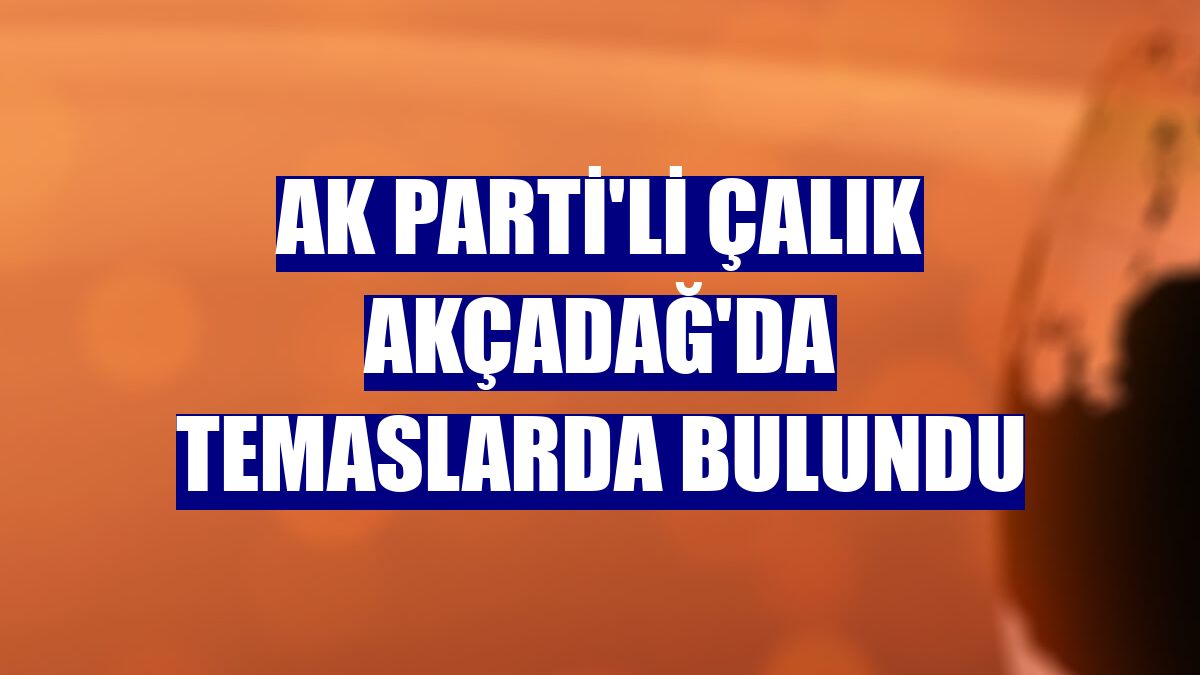 AK Parti'li Çalık Akçadağ'da temaslarda bulundu