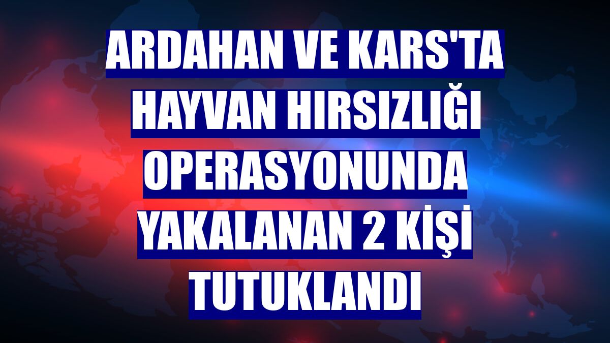 Ardahan ve Kars'ta hayvan hırsızlığı operasyonunda yakalanan 2 kişi tutuklandı