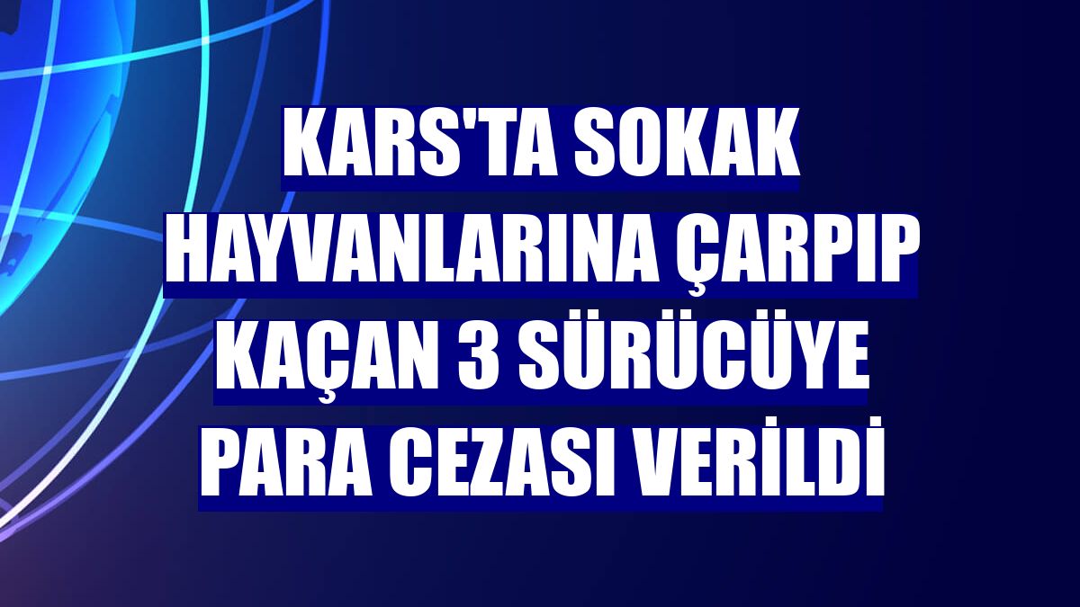Kars'ta sokak hayvanlarına çarpıp kaçan 3 sürücüye para cezası verildi