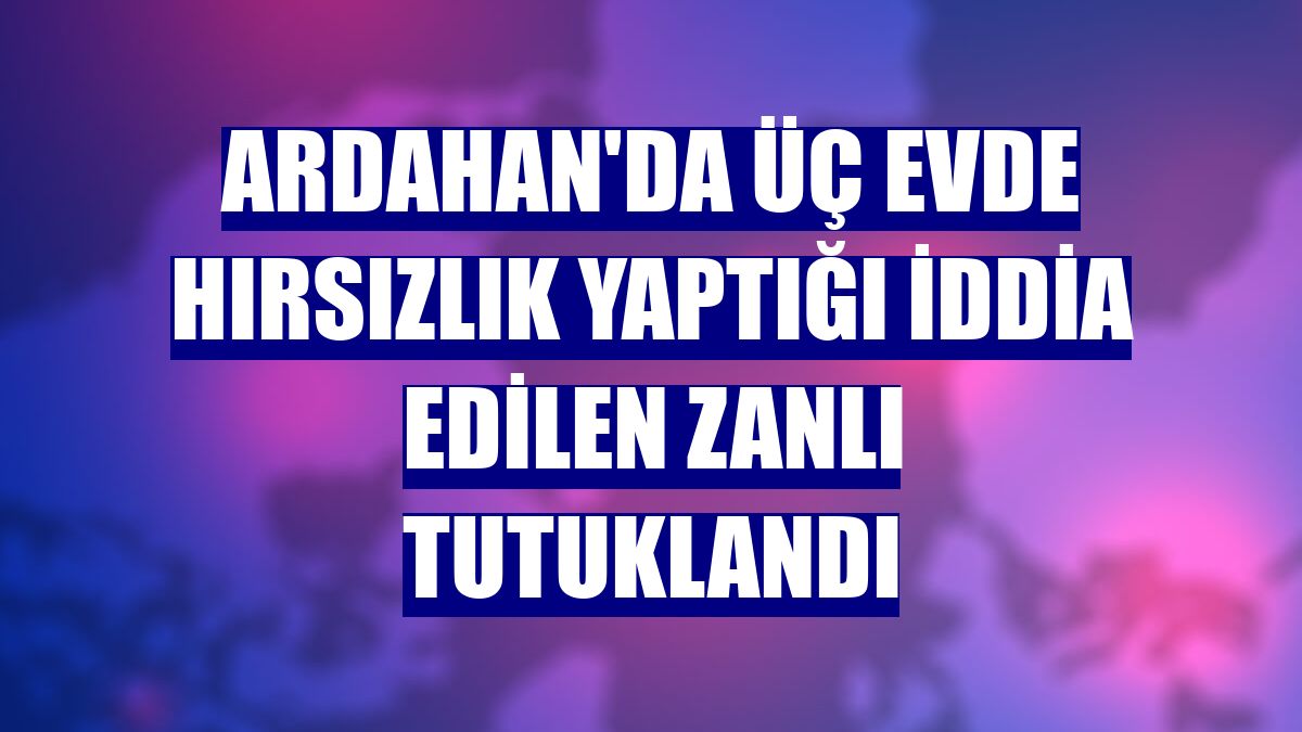 Ardahan'da üç evde hırsızlık yaptığı iddia edilen zanlı tutuklandı