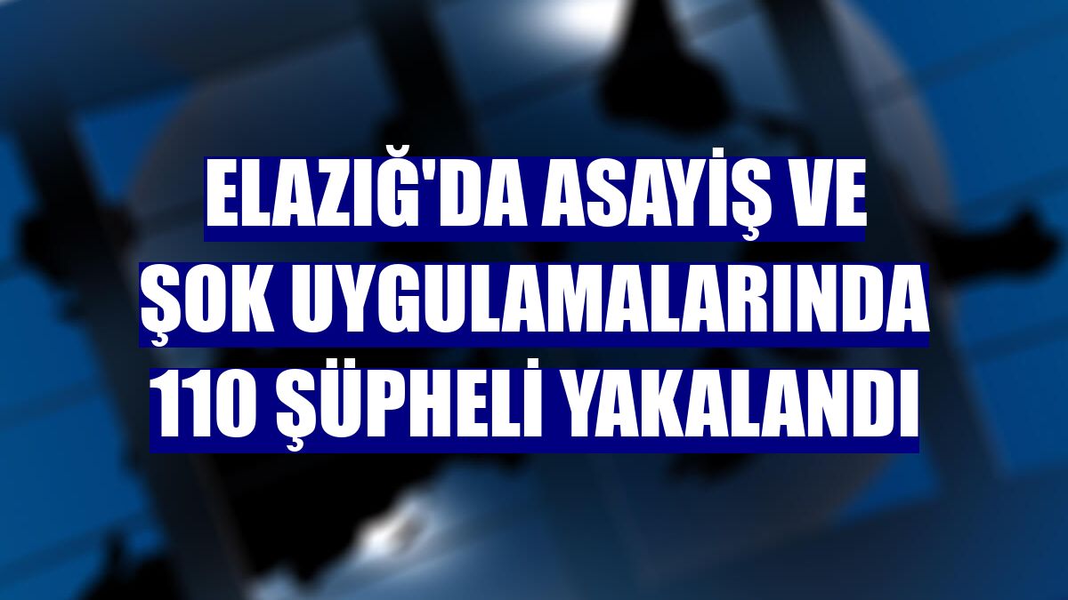 Elazığ'da asayiş ve şok uygulamalarında 110 şüpheli yakalandı