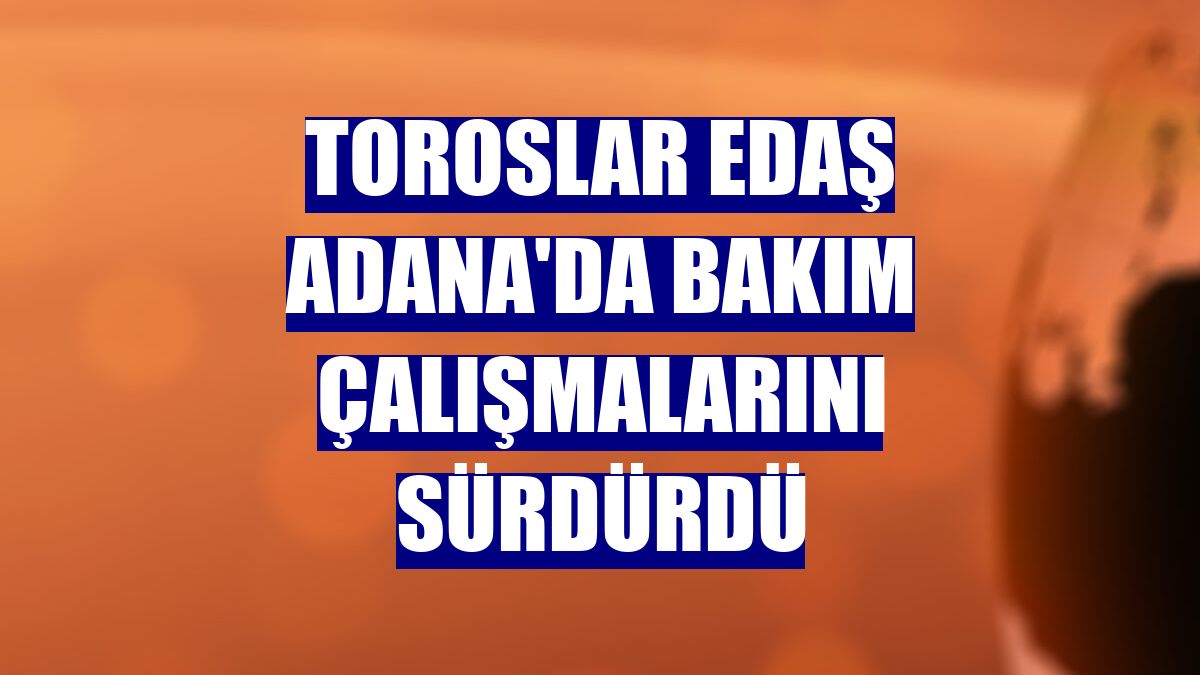 Toroslar EDAŞ Adana'da bakım çalışmalarını sürdürdü