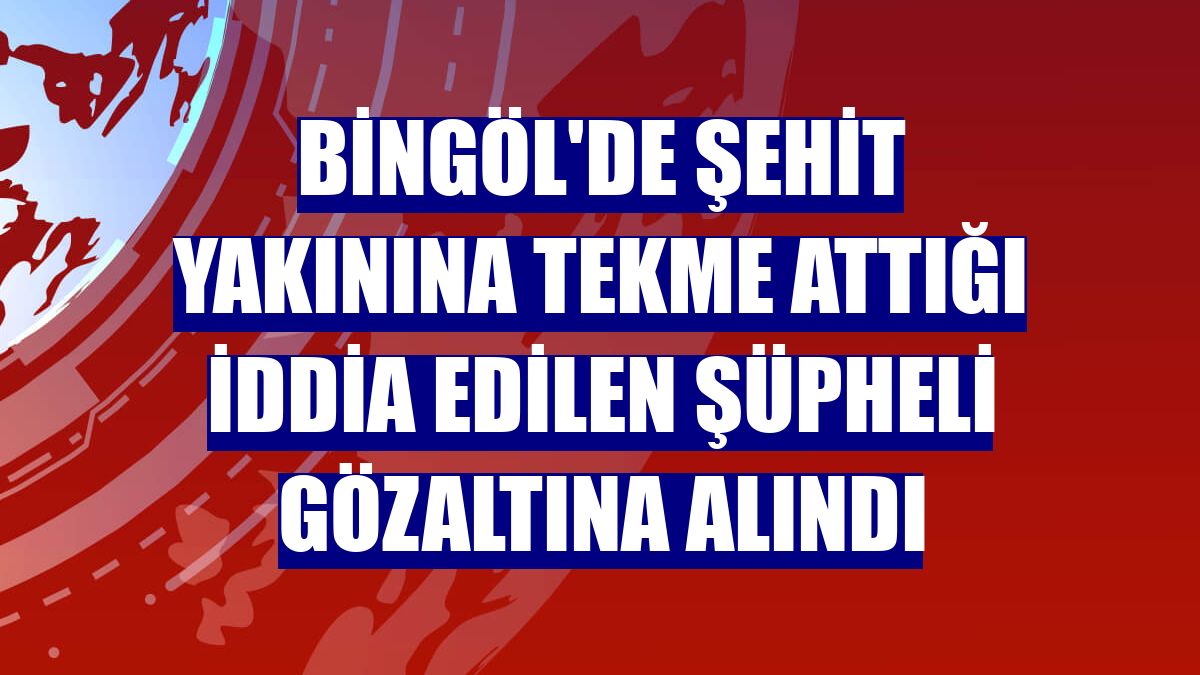 Bingöl'de şehit yakınına tekme attığı iddia edilen şüpheli gözaltına alındı