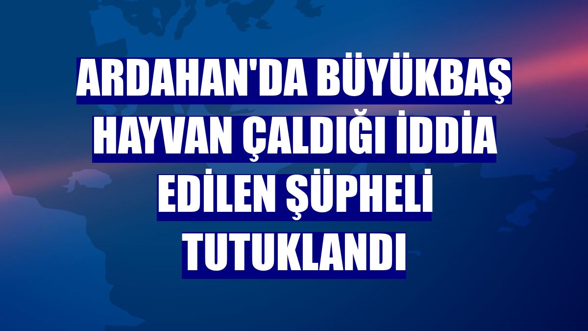 Ardahan'da büyükbaş hayvan çaldığı iddia edilen şüpheli tutuklandı