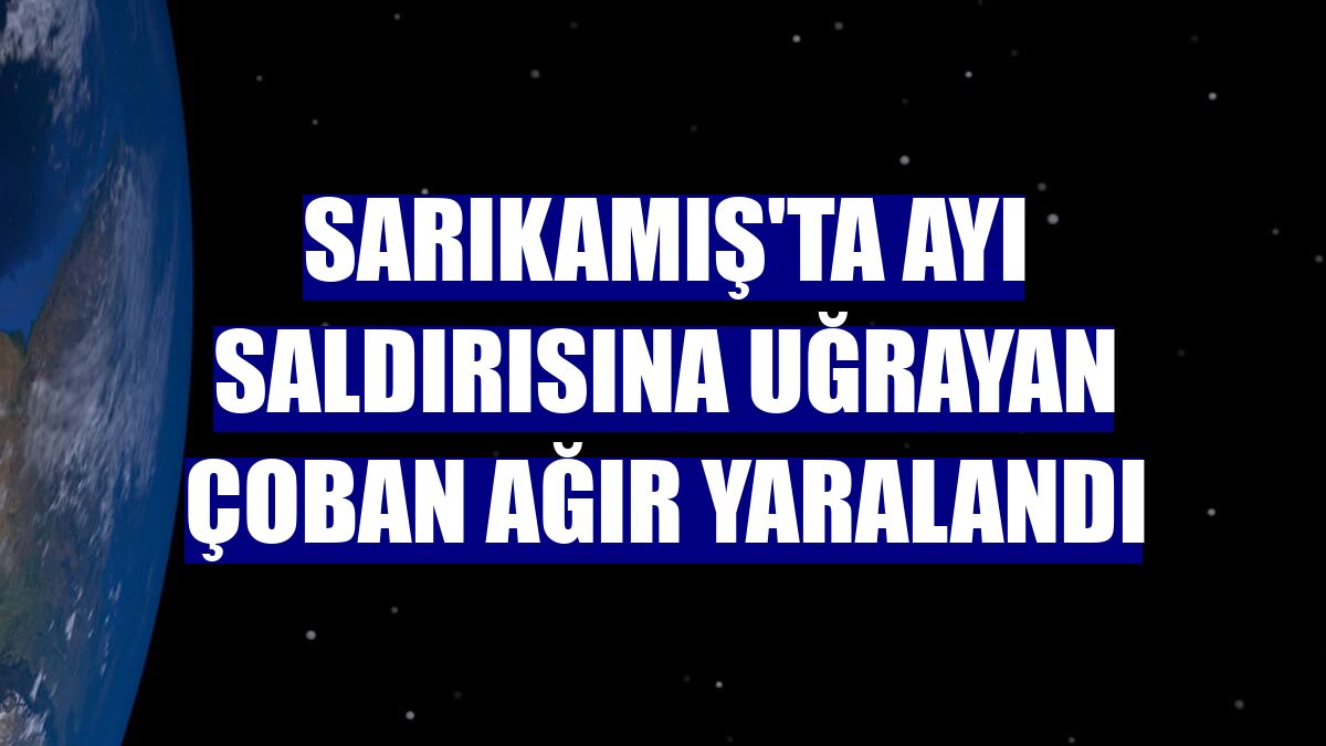 Sarıkamış'ta ayı saldırısına uğrayan çoban ağır yaralandı