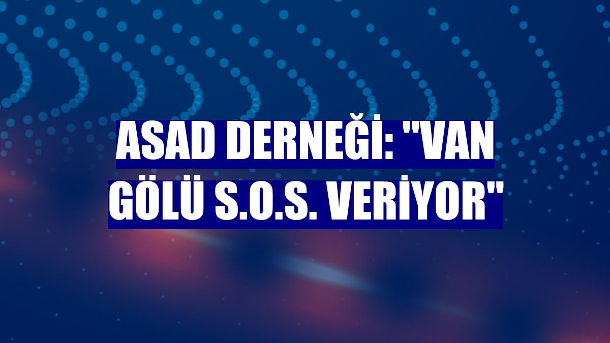 ASAD Derneği: "Van Gölü S.O.S. veriyor"