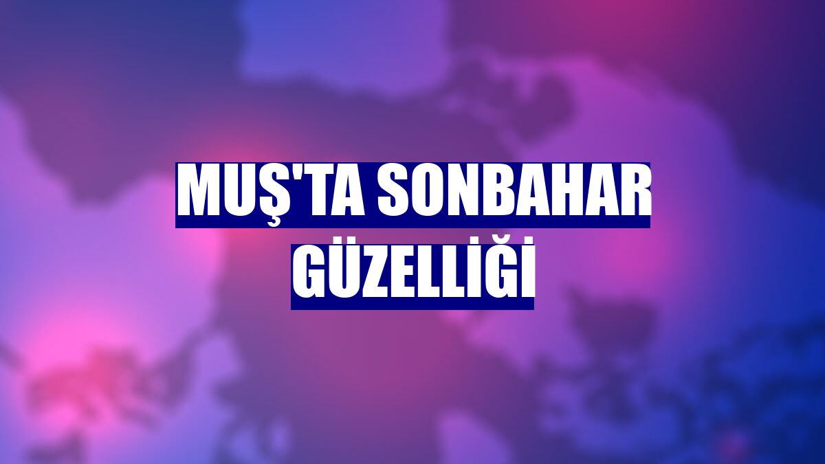 Muş'ta sonbahar güzelliği