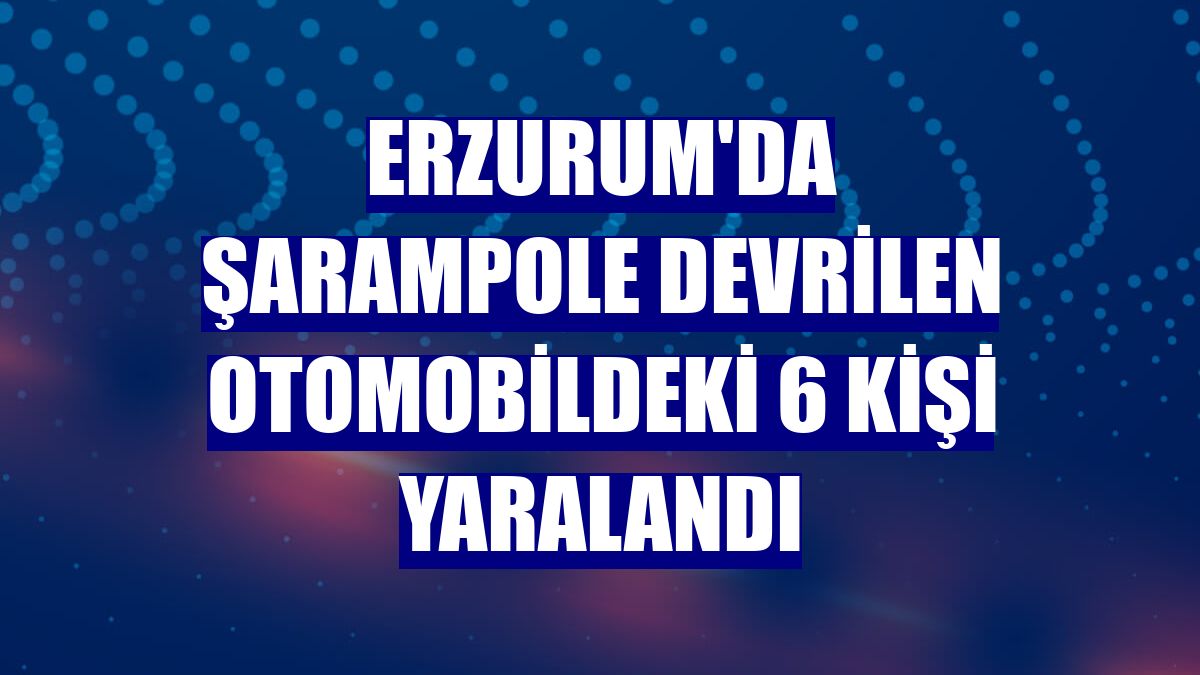 Erzurum'da şarampole devrilen otomobildeki 6 kişi yaralandı