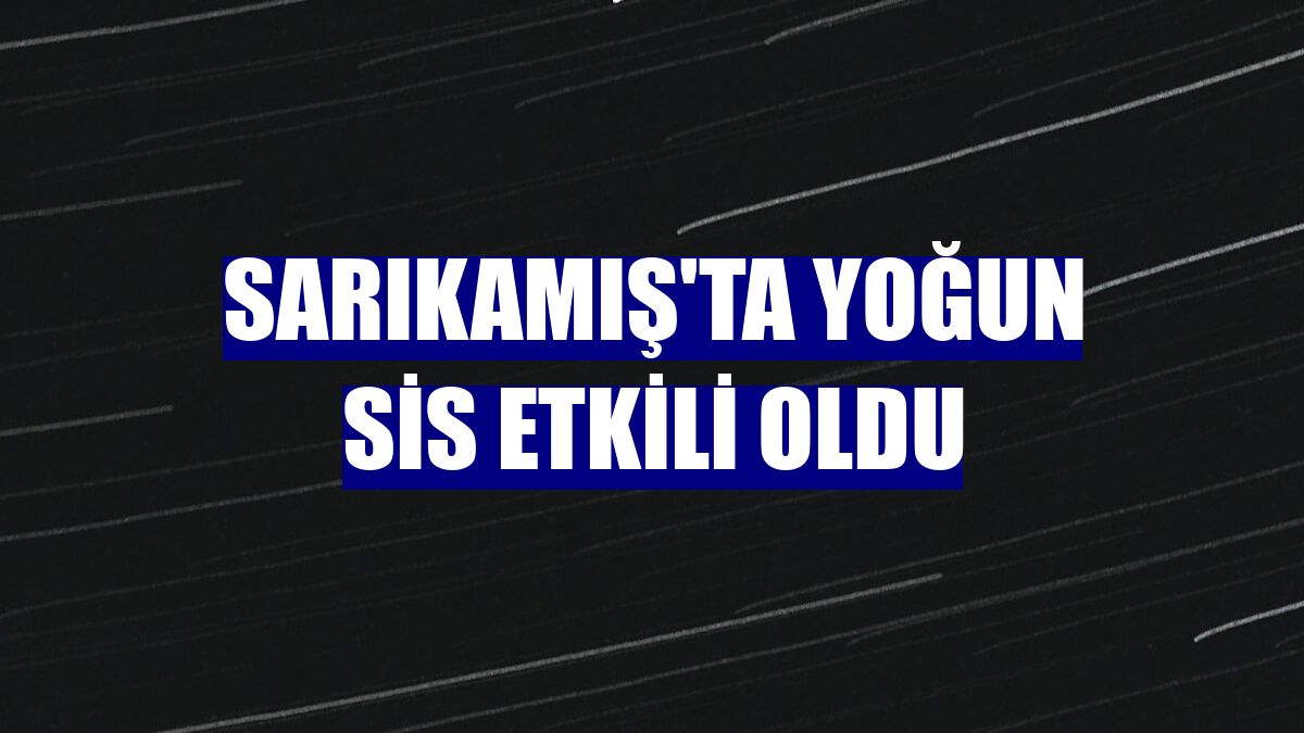 Sarıkamış'ta yoğun sis etkili oldu