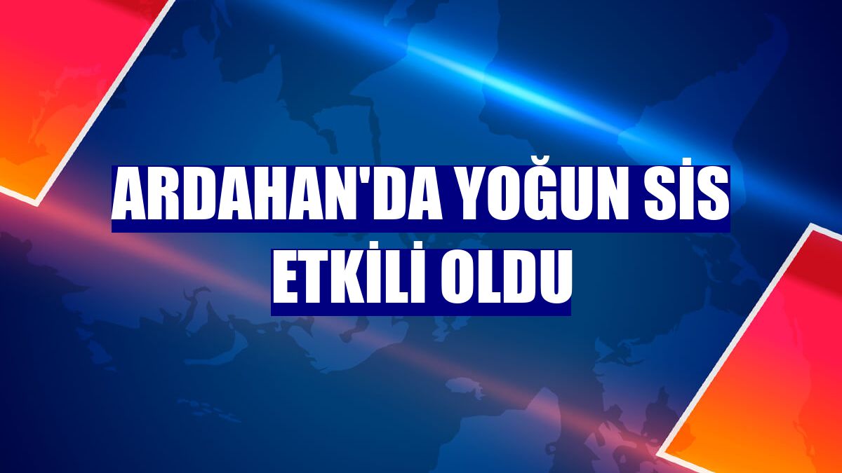 Ardahan'da yoğun sis etkili oldu