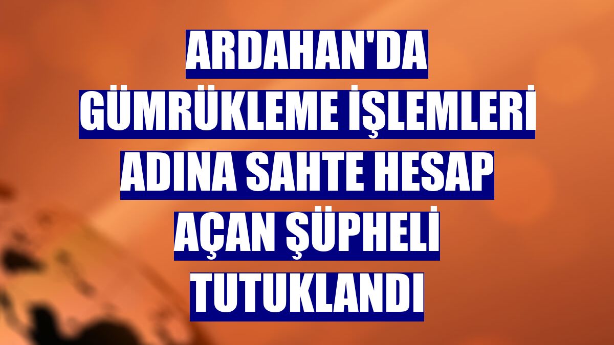 Ardahan'da gümrükleme işlemleri adına sahte hesap açan şüpheli tutuklandı