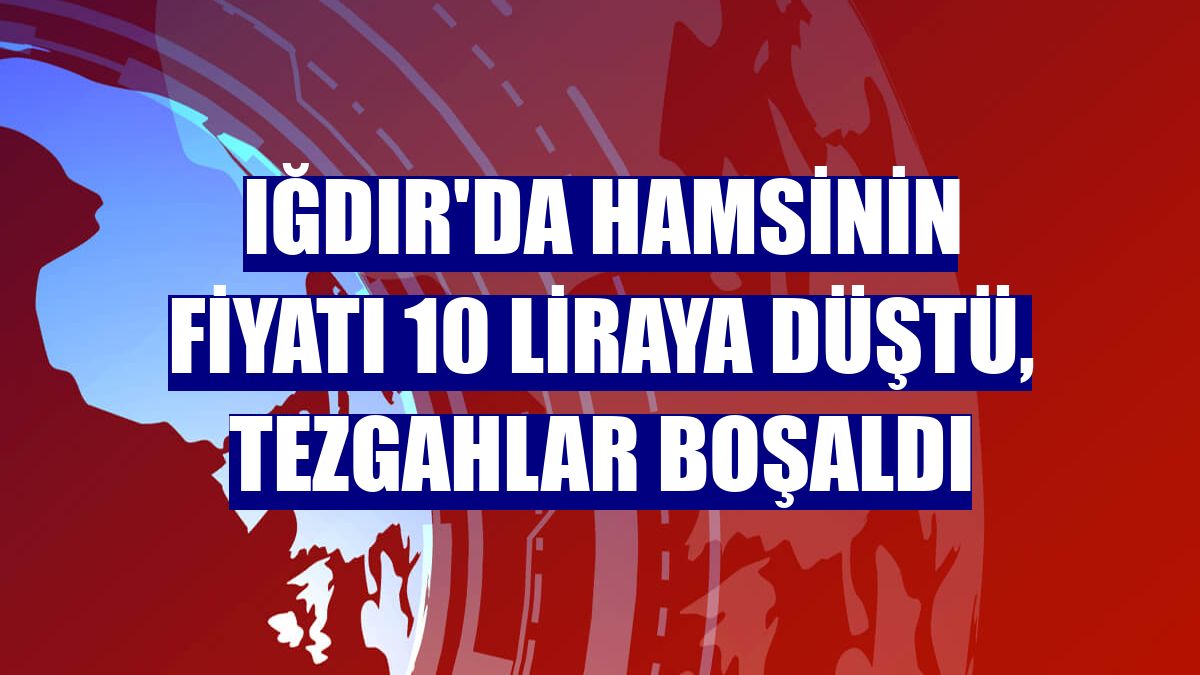 Iğdır'da hamsinin fiyatı 10 liraya düştü, tezgahlar boşaldı