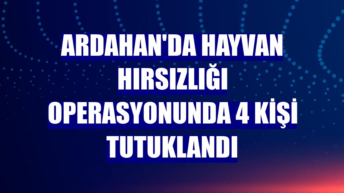 Ardahan'da hayvan hırsızlığı operasyonunda 4 kişi tutuklandı