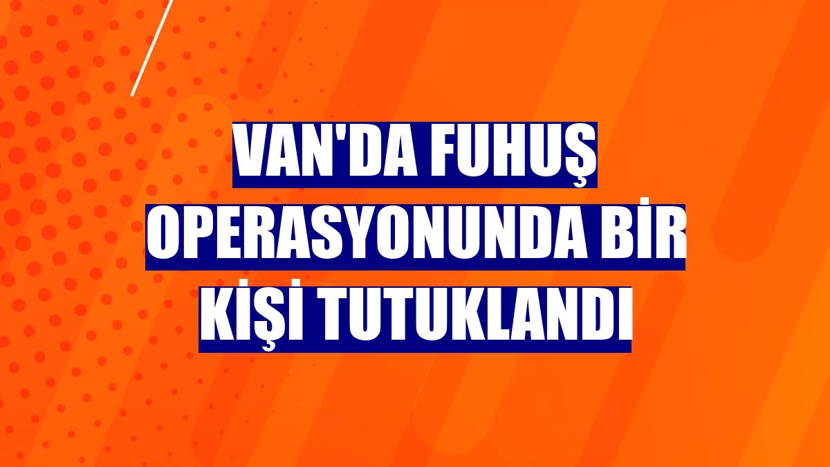 Van'da fuhuş operasyonunda bir kişi tutuklandı