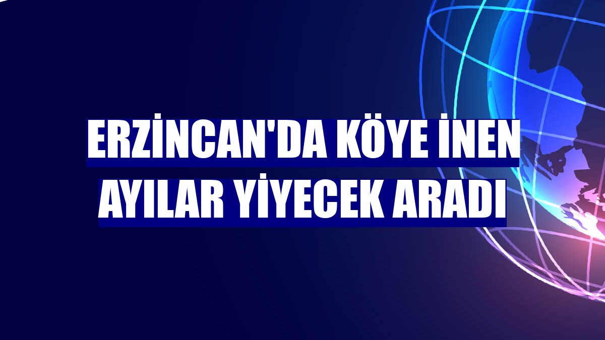 Erzincan'da köye inen ayılar yiyecek aradı
