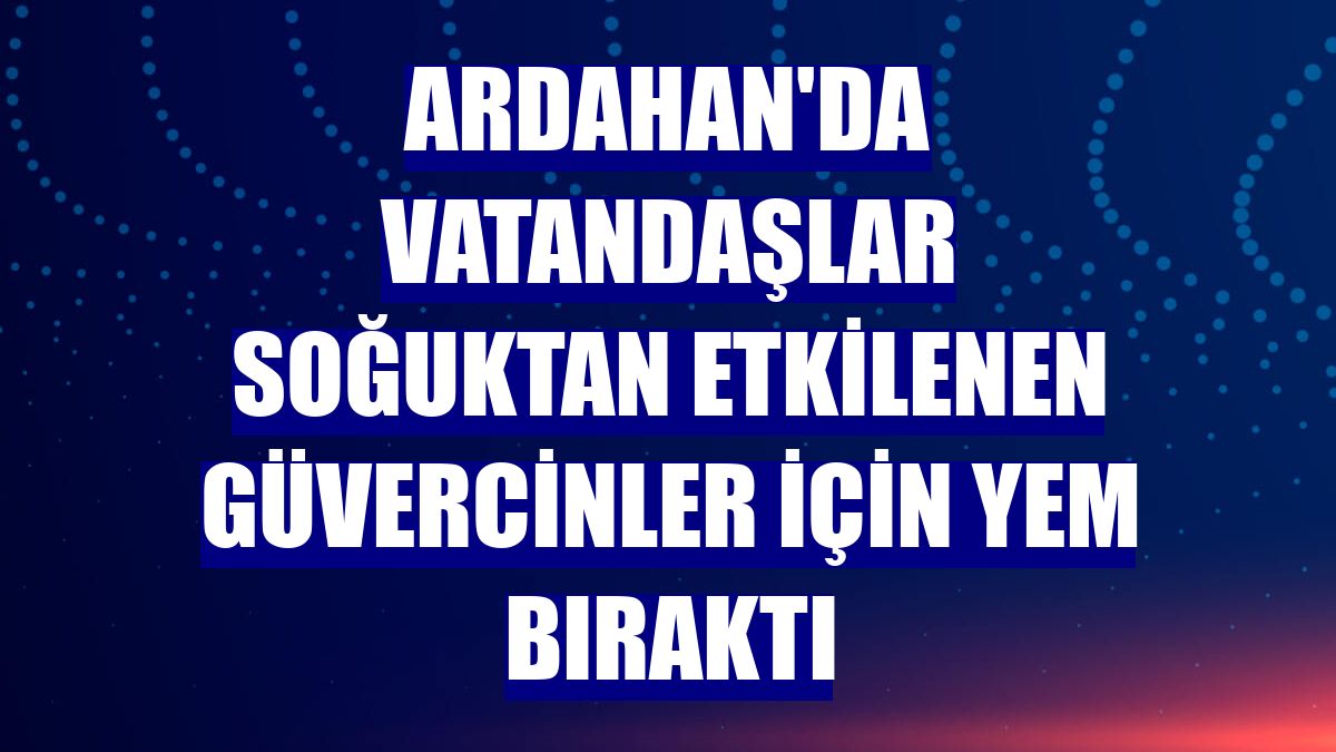 Ardahan'da vatandaşlar soğuktan etkilenen güvercinler için yem bıraktı