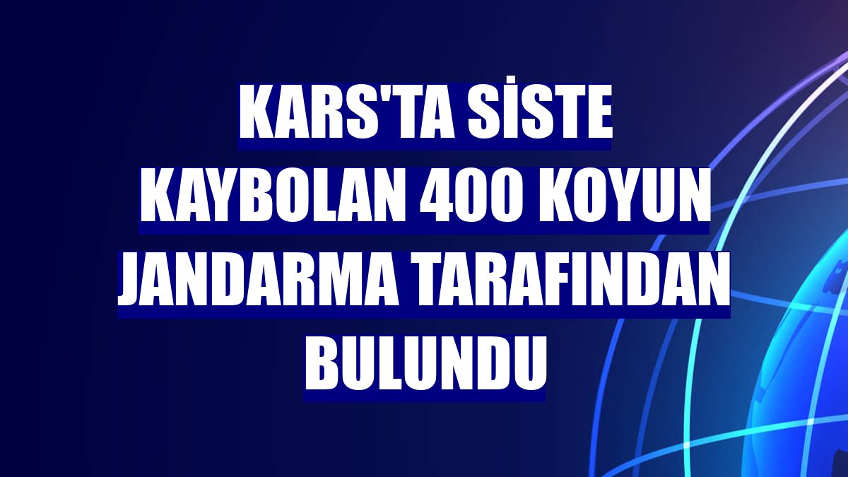 Kars'ta siste kaybolan 400 koyun jandarma tarafından bulundu