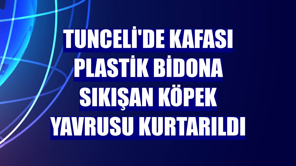Tunceli'de kafası plastik bidona sıkışan köpek yavrusu kurtarıldı