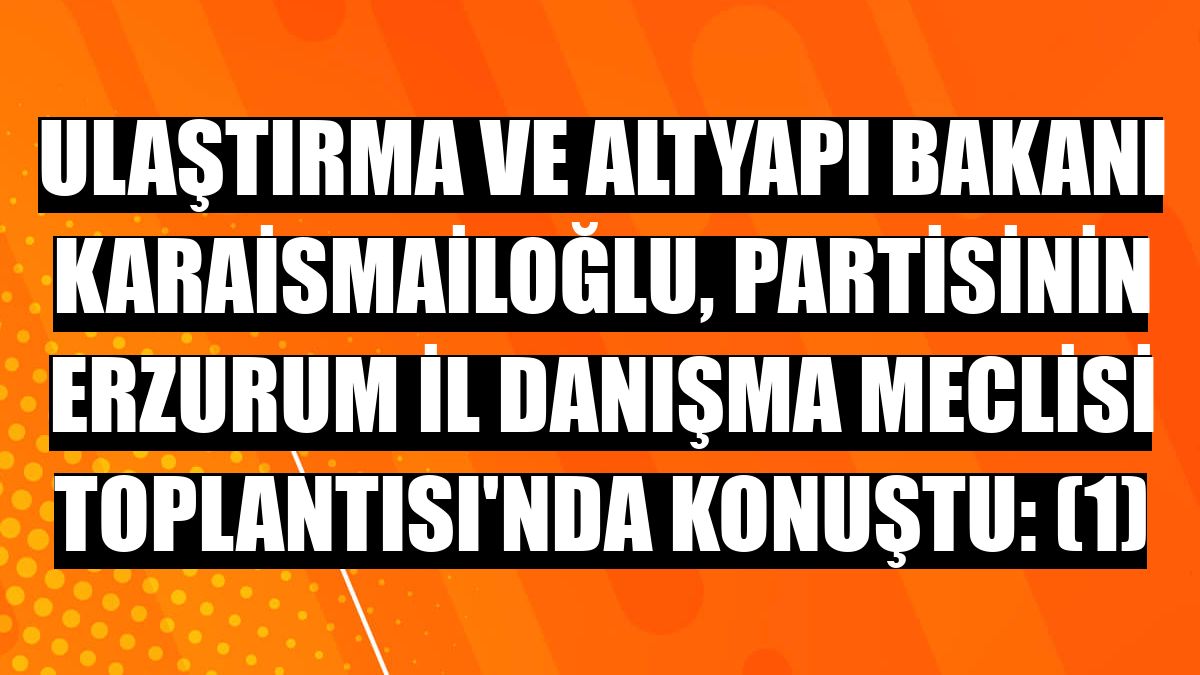 Ulaştırma ve Altyapı Bakanı Karaismailoğlu, partisinin Erzurum İl Danışma Meclisi Toplantısı'nda konuştu: (1)