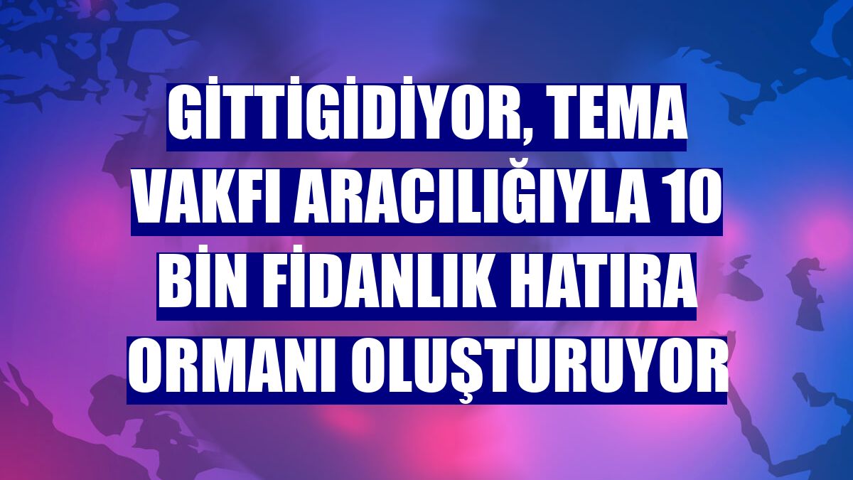 GittiGidiyor, TEMA Vakfı aracılığıyla 10 bin fidanlık hatıra ormanı oluşturuyor