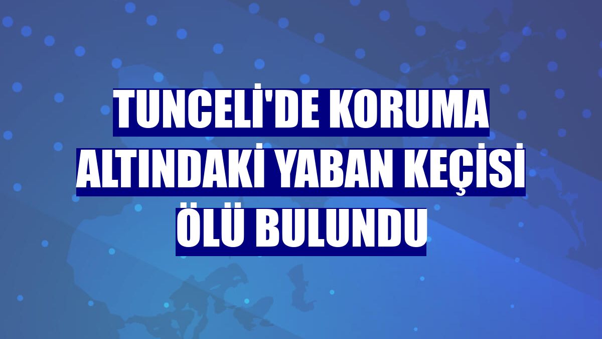 Tunceli'de koruma altındaki yaban keçisi ölü bulundu