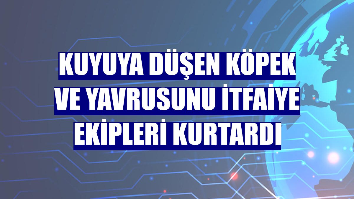 Kuyuya düşen köpek ve yavrusunu itfaiye ekipleri kurtardı