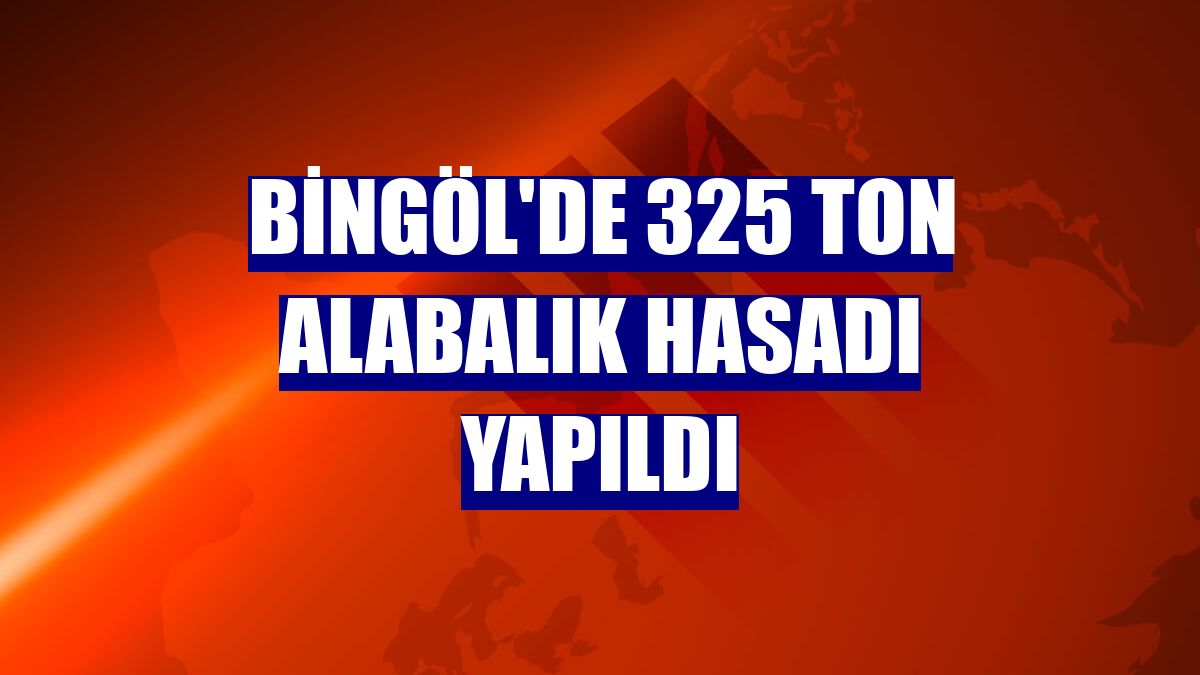Bingöl'de 325 ton alabalık hasadı yapıldı