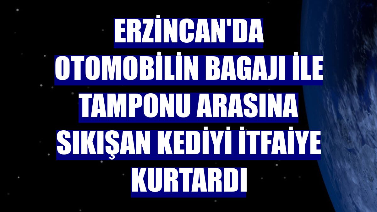 Erzincan'da otomobilin bagajı ile tamponu arasına sıkışan kediyi itfaiye kurtardı