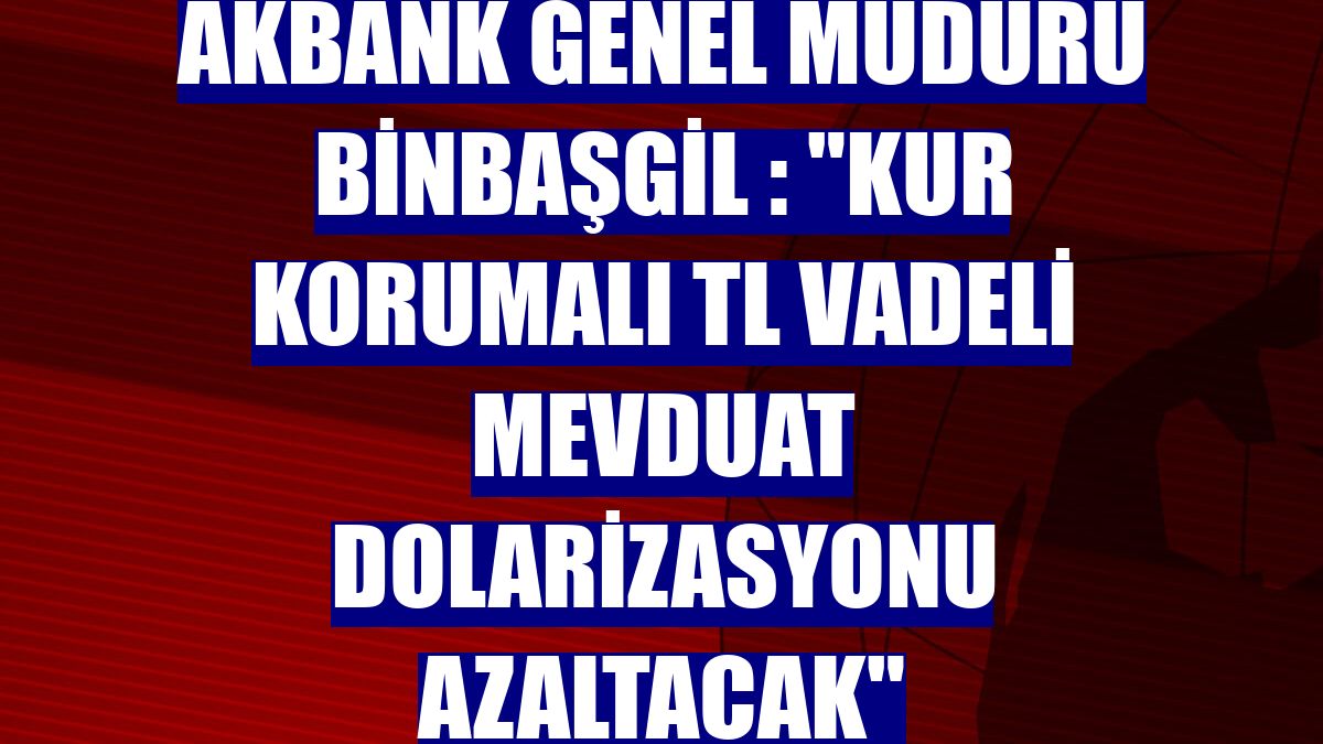 Akbank Genel Müdürü Binbaşgil : "Kur Korumalı TL Vadeli Mevduat dolarizasyonu azaltacak"