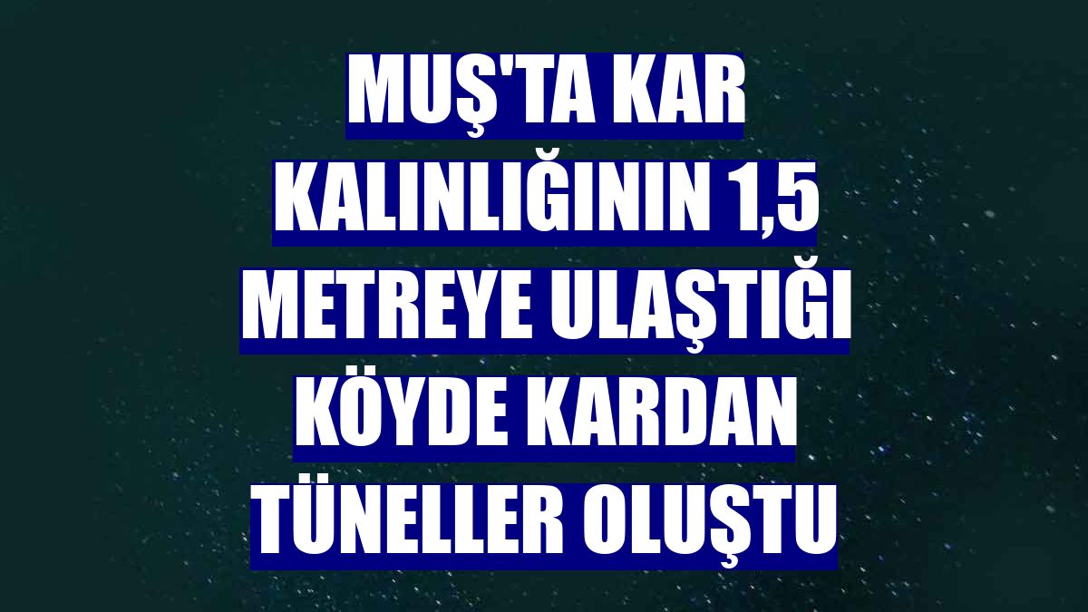Muş'ta kar kalınlığının 1,5 metreye ulaştığı köyde kardan tüneller oluştu