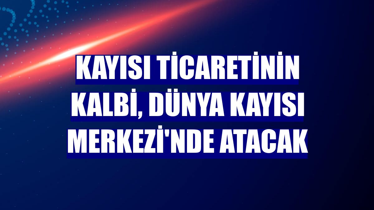 Kayısı ticaretinin kalbi, Dünya Kayısı Merkezi'nde atacak
