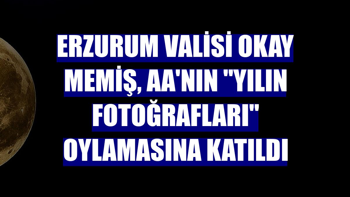 Erzurum Valisi Okay Memiş, AA'nın "Yılın Fotoğrafları" oylamasına katıldı