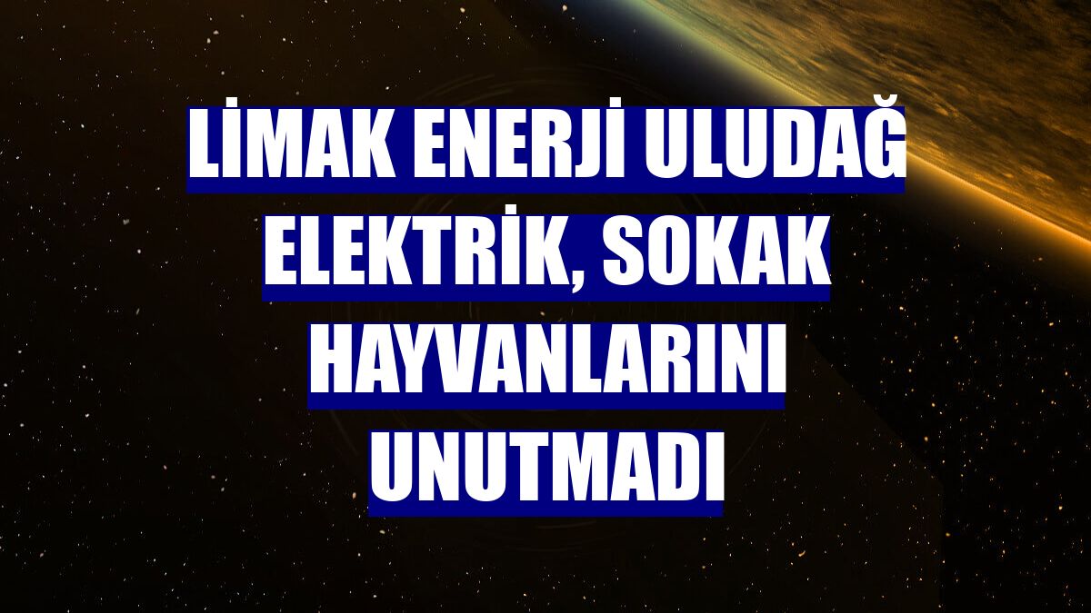 LİMAK Enerji Uludağ Elektrik, sokak hayvanlarını unutmadı