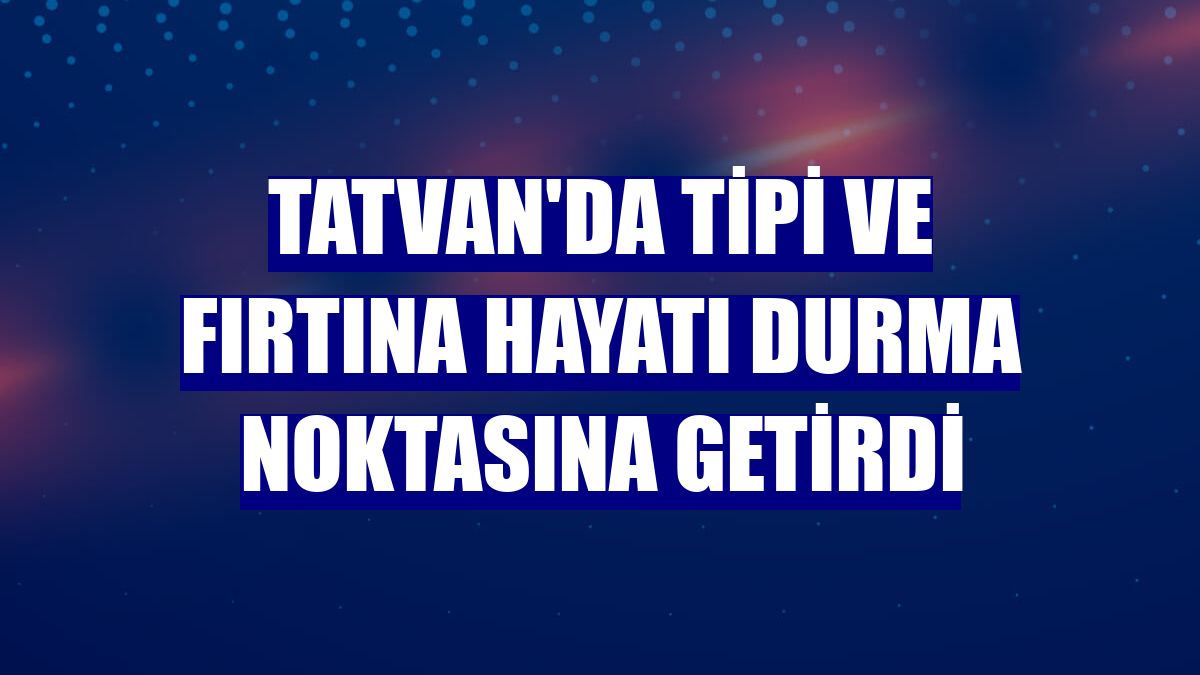 Tatvan'da tipi ve fırtına hayatı durma noktasına getirdi
