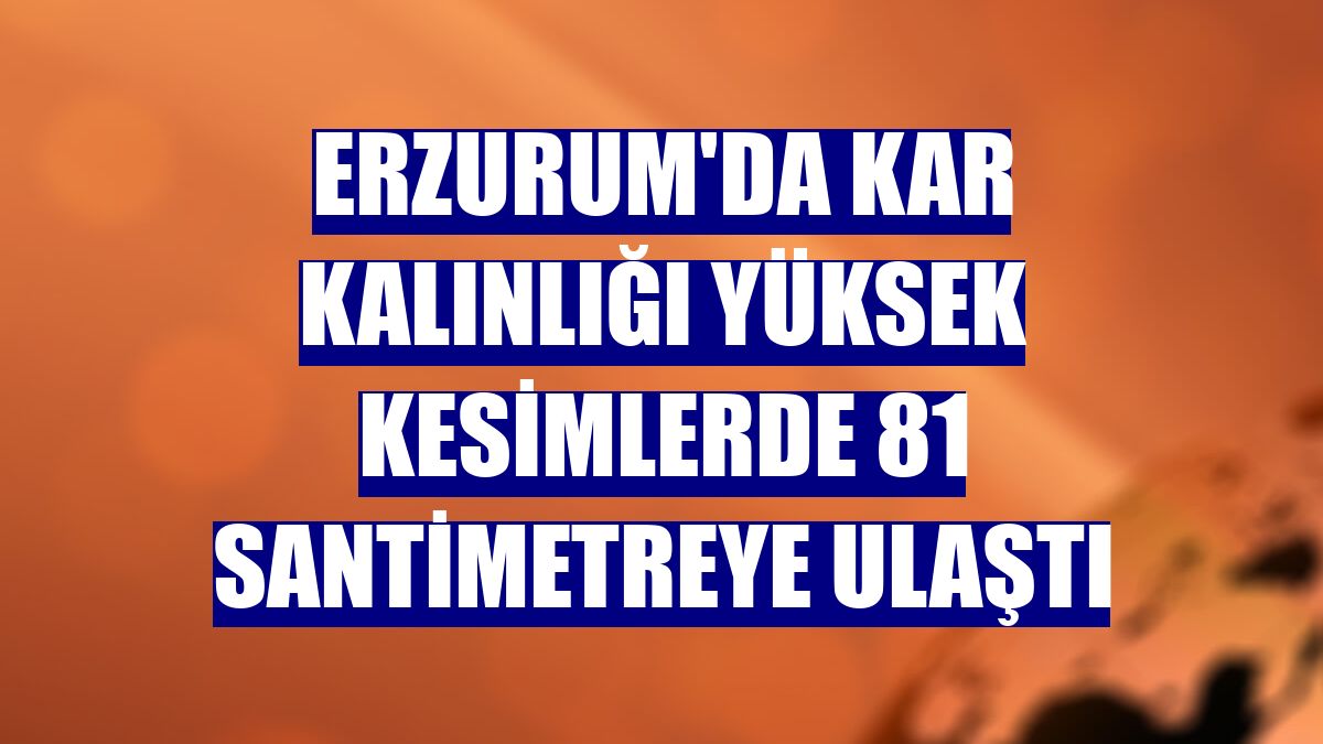 Erzurum'da kar kalınlığı yüksek kesimlerde 81 santimetreye ulaştı