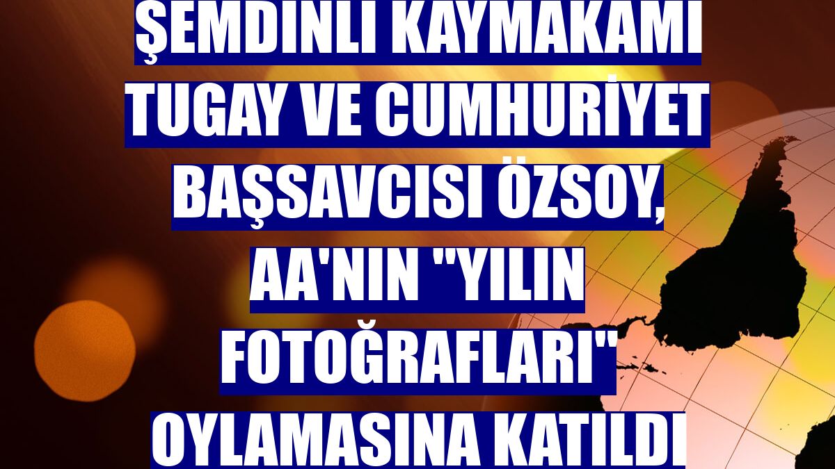 Şemdinli Kaymakamı Tugay ve Cumhuriyet Başsavcısı Özsoy, AA'nın "Yılın Fotoğrafları" oylamasına katıldı