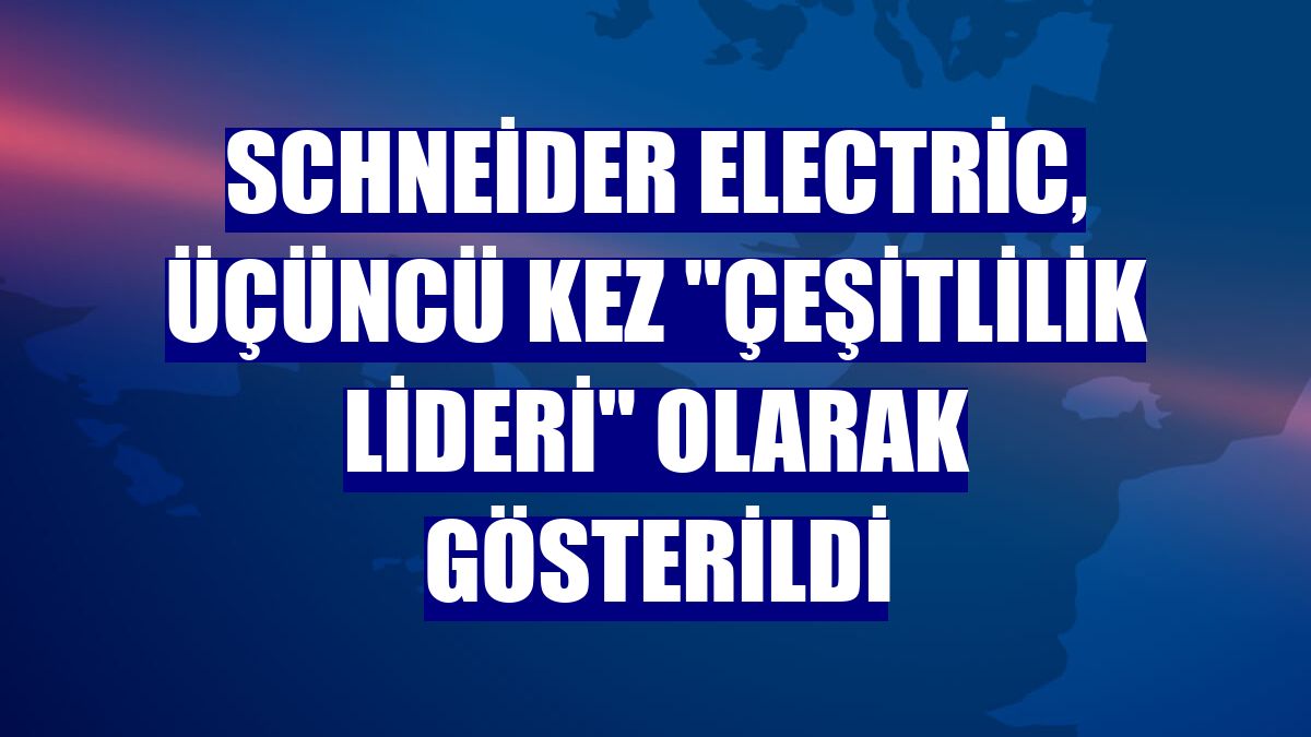 Schneider Electric, üçüncü kez "Çeşitlilik Lideri" olarak gösterildi