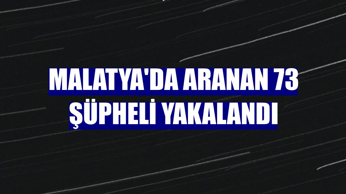 Malatya'da aranan 73 şüpheli yakalandı