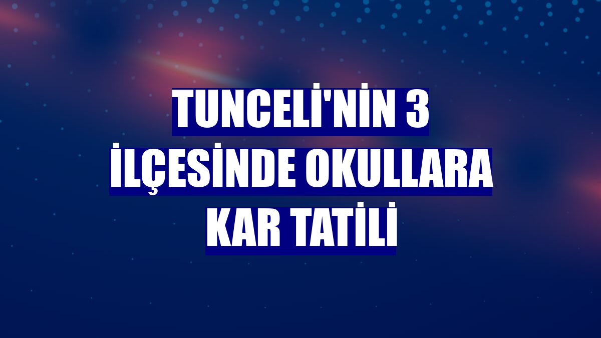 Tunceli'nin 3 ilçesinde okullara kar tatili