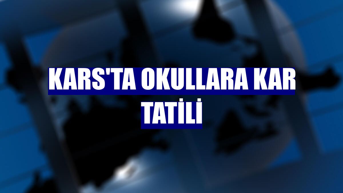 Kars'ta okullara kar tatili