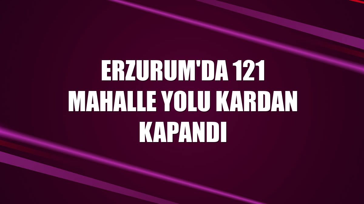 Erzurum'da 121 mahalle yolu kardan kapandı
