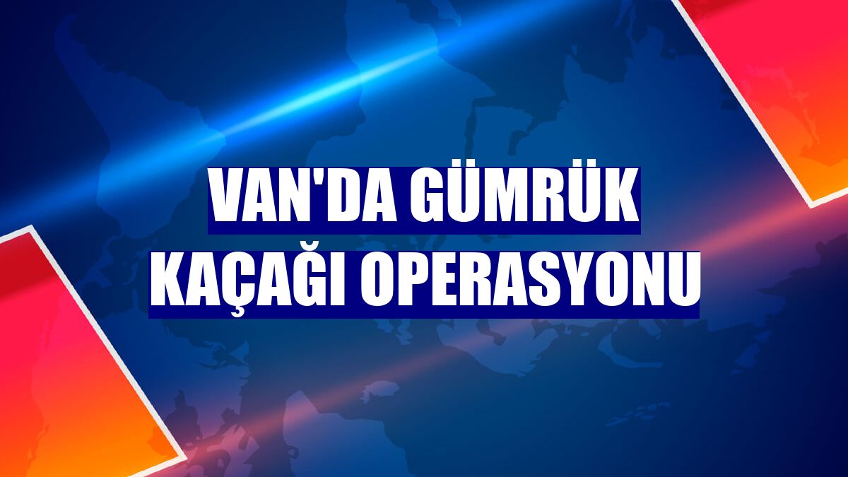 Van'da gümrük kaçağı operasyonu