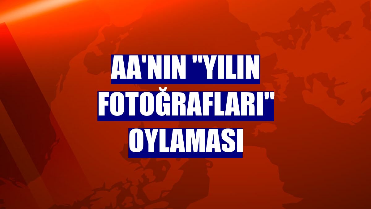 AA'nın "Yılın Fotoğrafları" oylaması