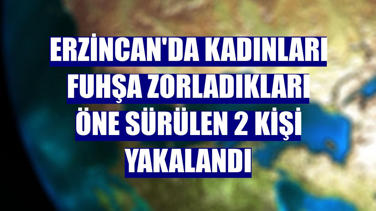 Erzincan'da kadınları fuhşa zorladıkları öne sürülen 2 kişi yakalandı