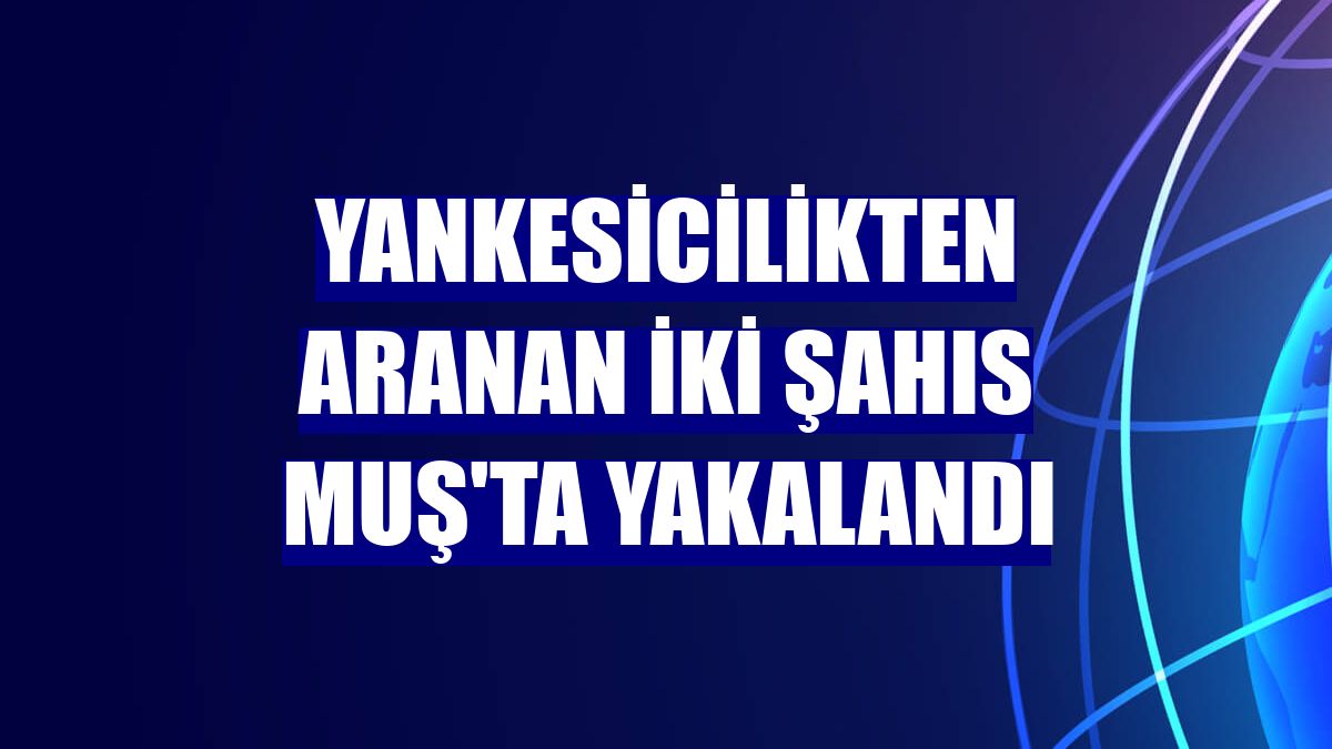 Yankesicilikten aranan iki şahıs Muş'ta yakalandı